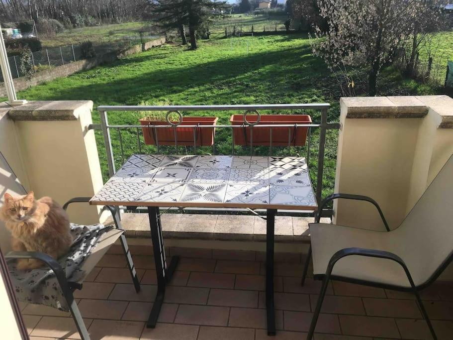Piccolo Borgo Apartment Лука Екстериор снимка